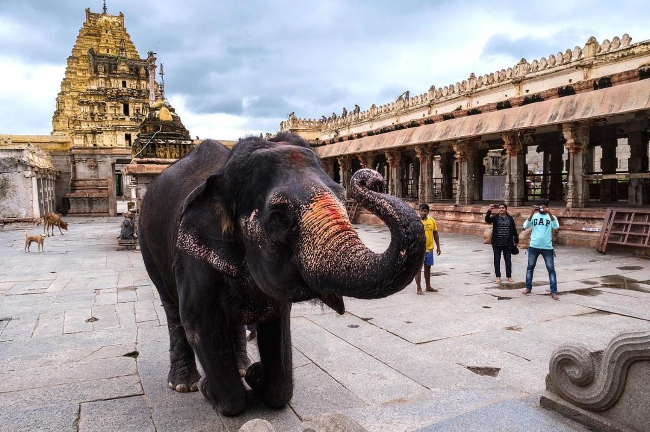 Vicky'S Home Stay Hampi Dış mekan fotoğraf